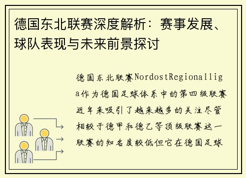 德国东北联赛深度解析：赛事发展、球队表现与未来前景探讨